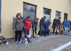 Stadtspaziergänge Welpen und Junghunde Dezember 2017